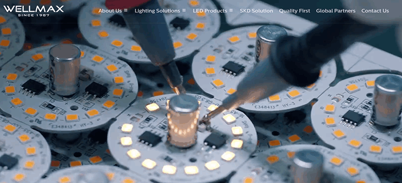 Wellmax Lighting