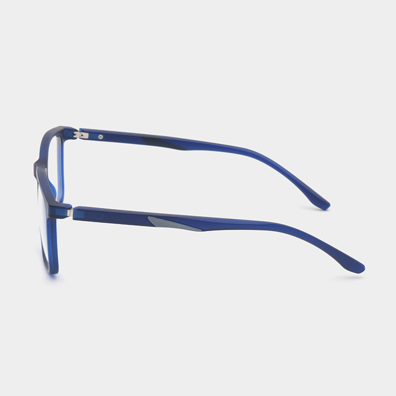 Double color temple glasses detail