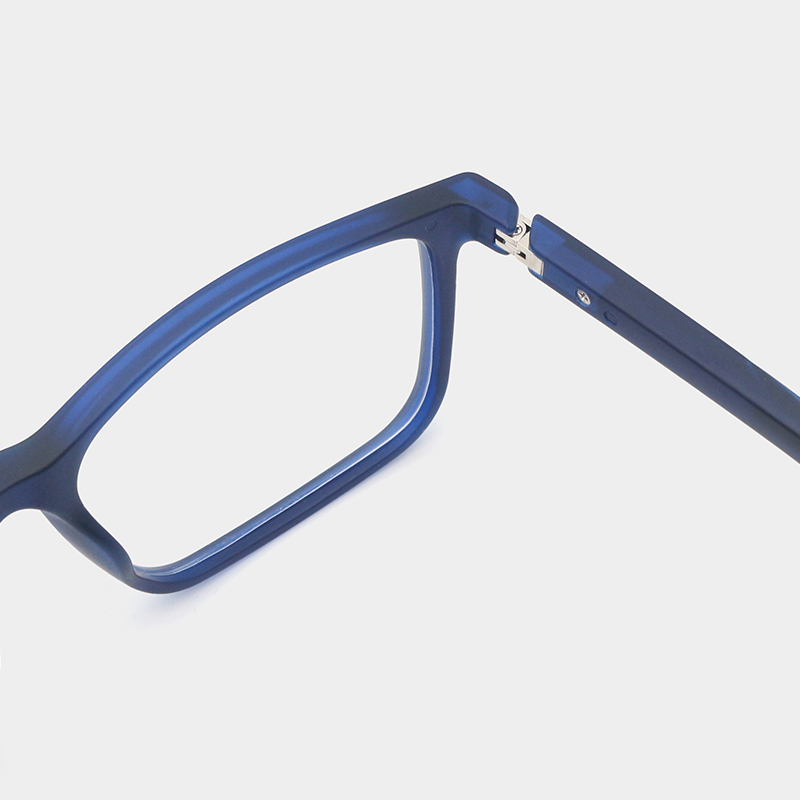 Built-in spring hinge detail on Valtrex Glasses