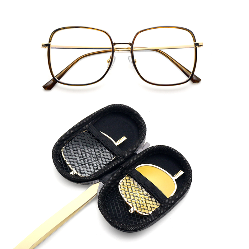 Clip on sunglasses with case