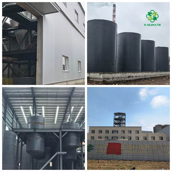 x-humate factory direct supply sodium humate depressant production centre and warehouse near to shipping port