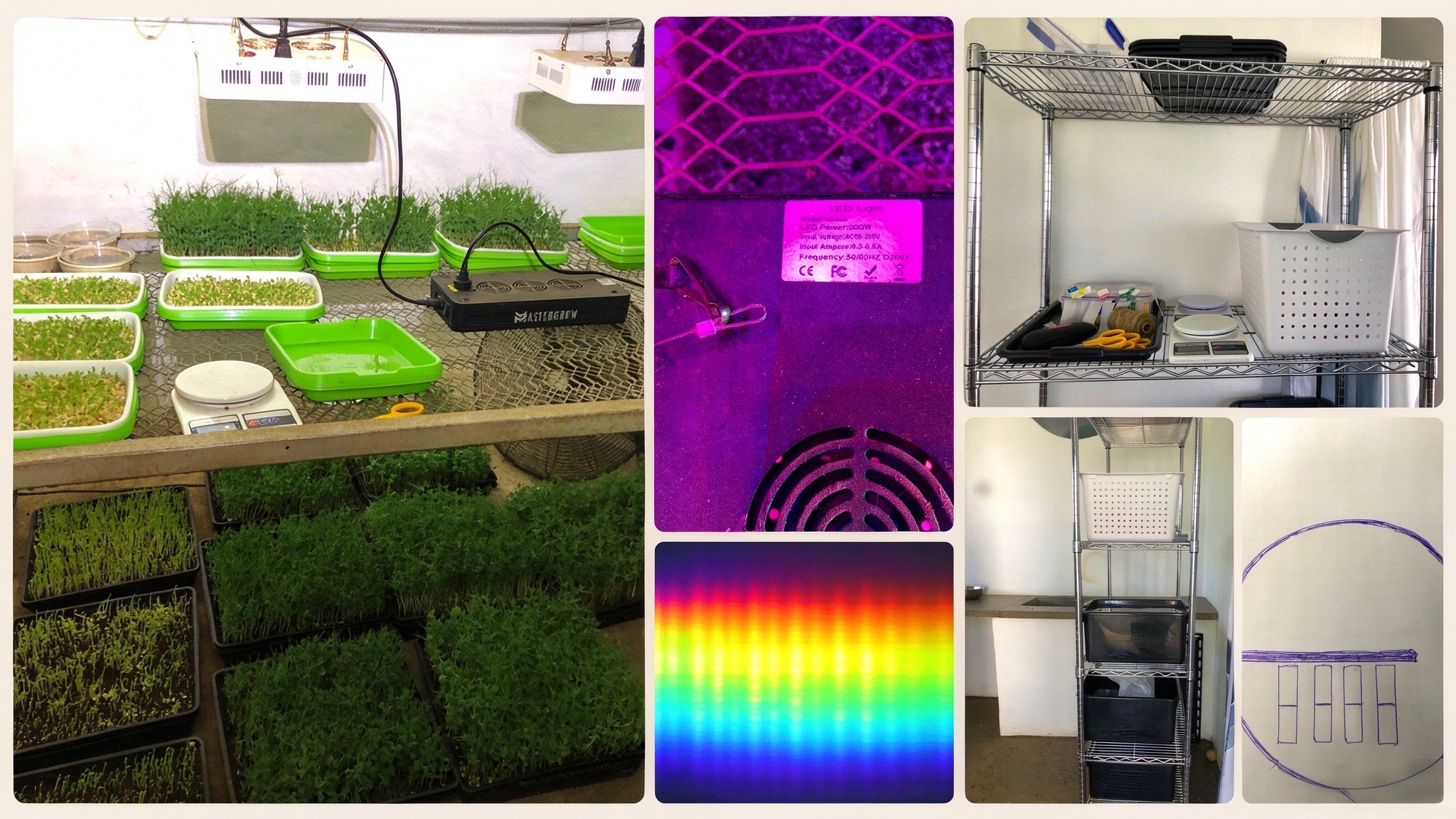 indoor microgreens farm with led grow light and storage shelf