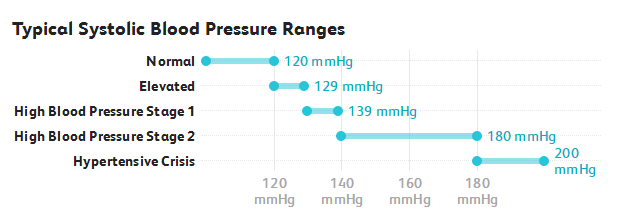 Patient Monitor