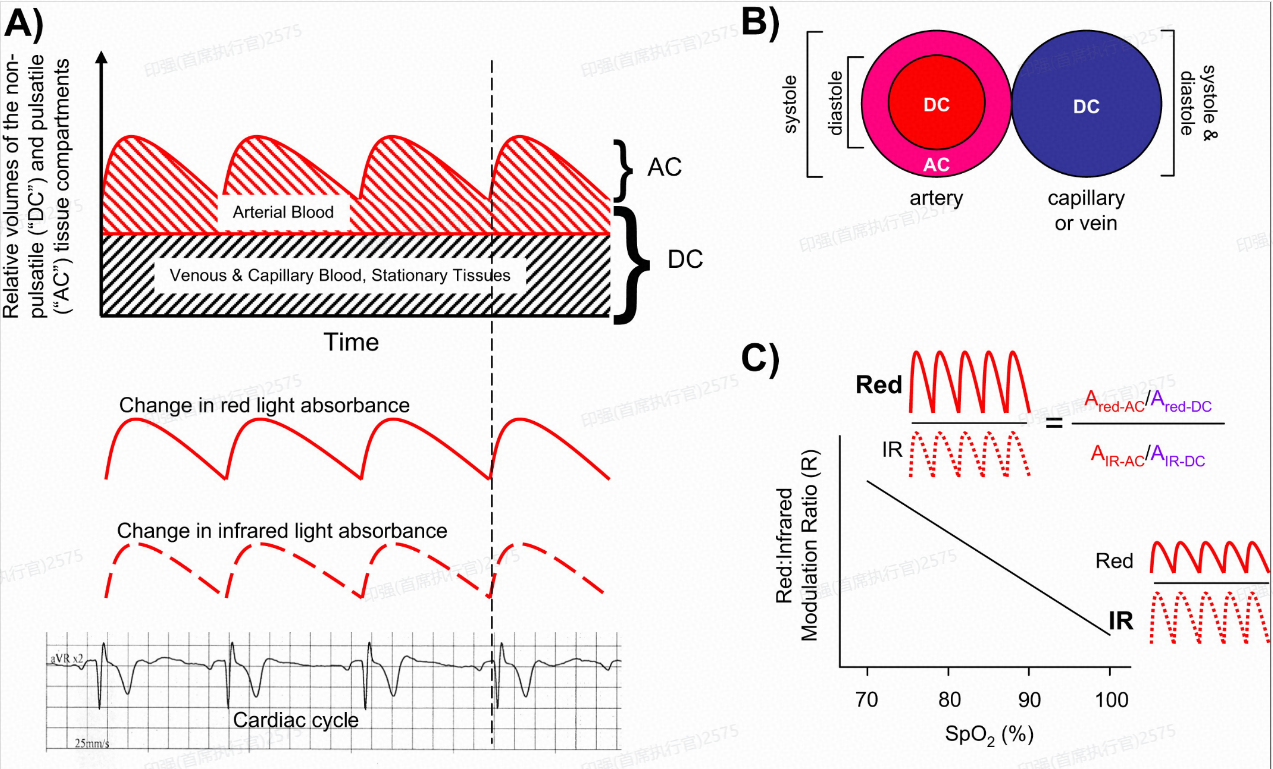 Pulse oximeter