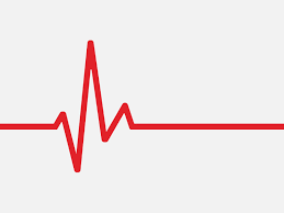 Pulse oximeter