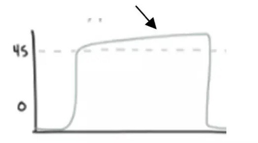 Pulse oximeter