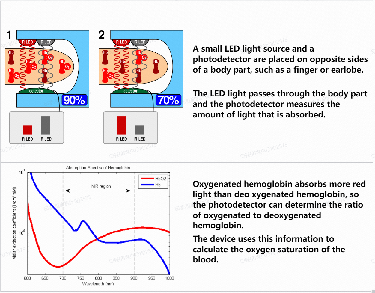 Pulse oximeter