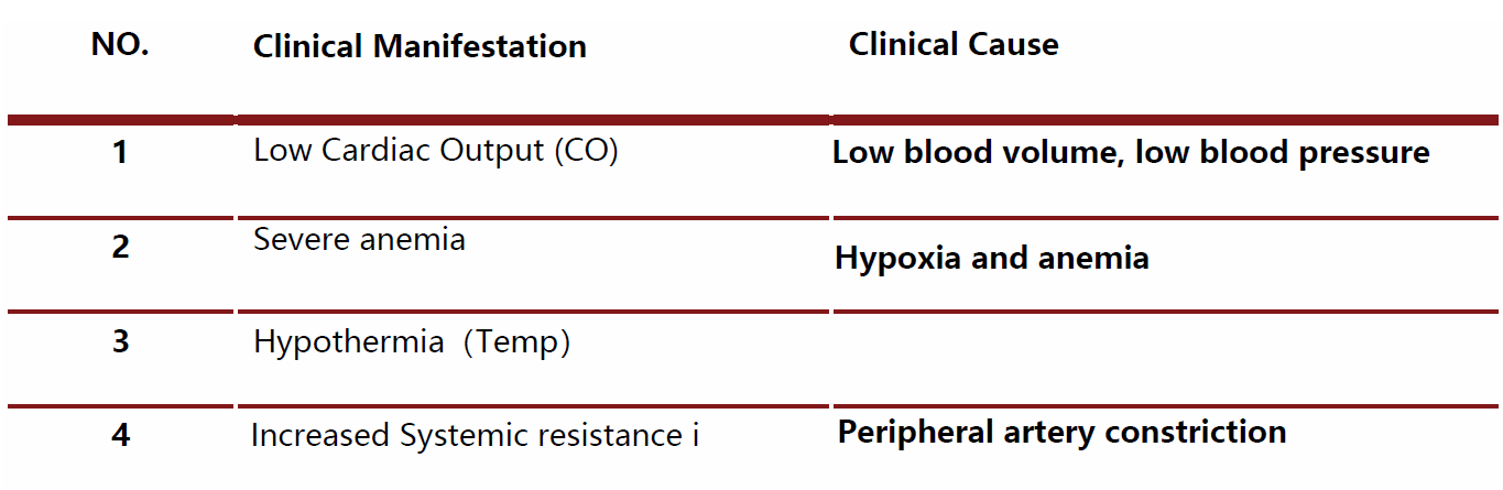 pulse oximeter