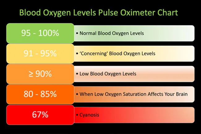 Pulse oximeter