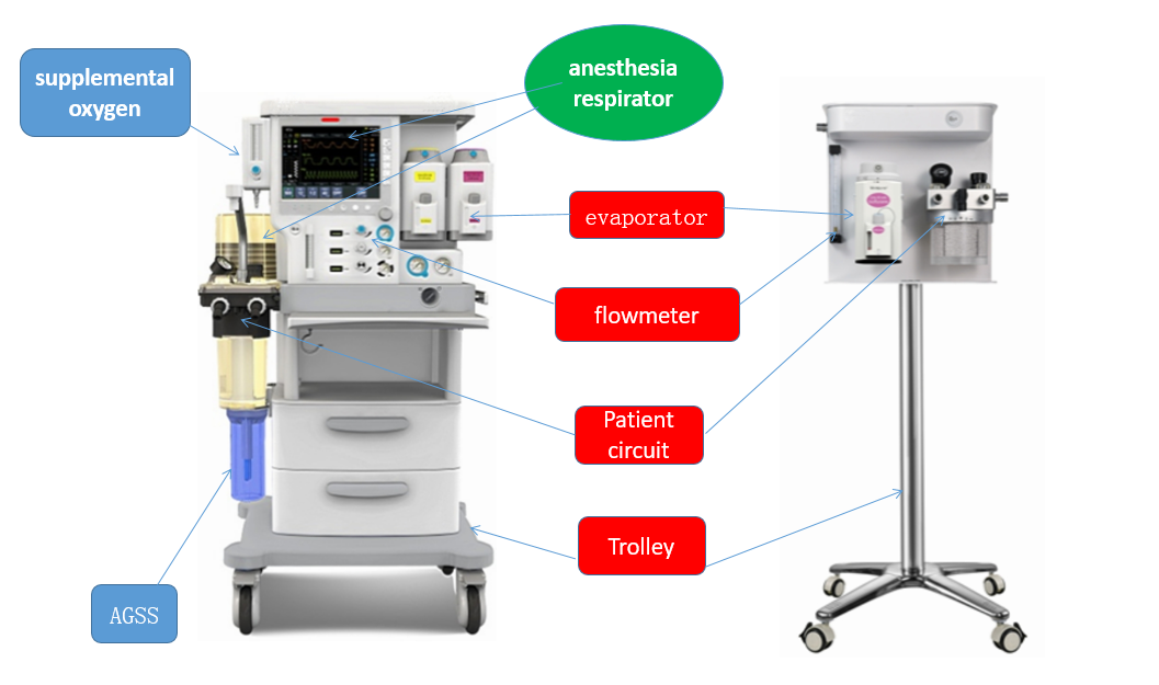 Pulse oximeter