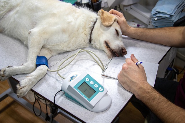 Pulse oximeter