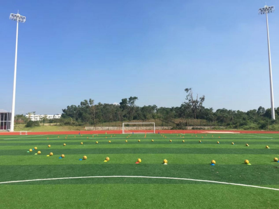 artificial grass