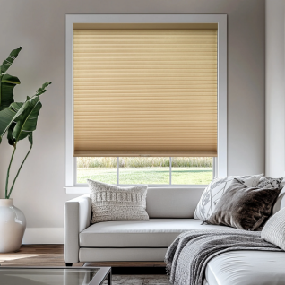 Honeycomb Shade