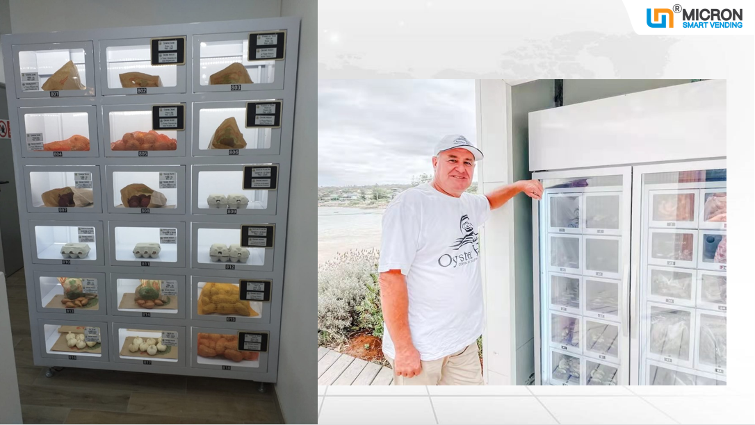 Can a vending machine sell egg and farm produce? Here we will recommend you two perfect farm vending machine.