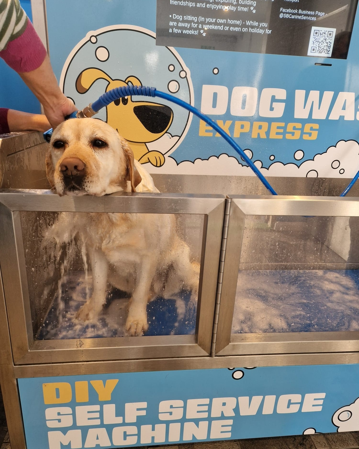weimi dog wash machine