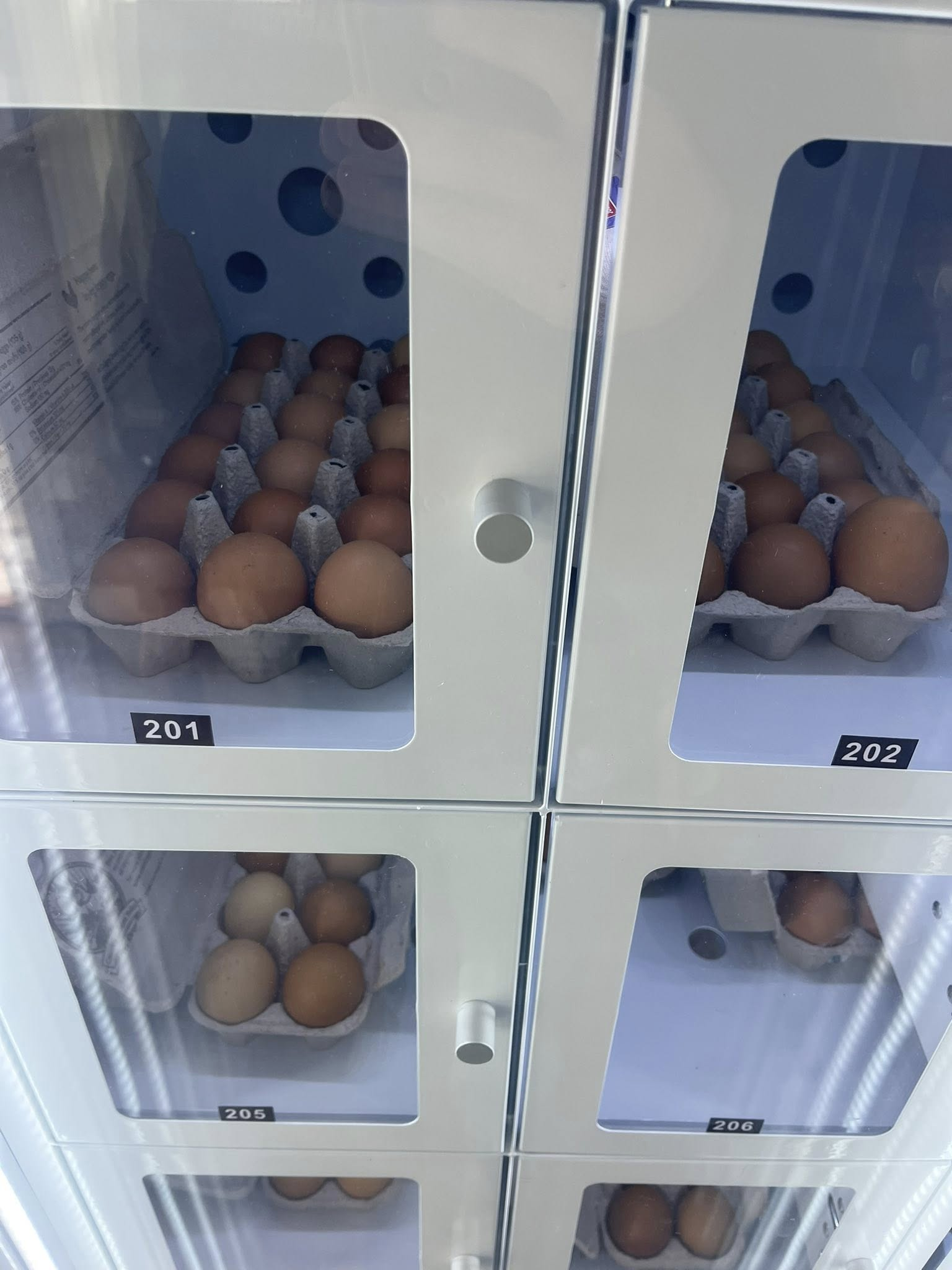 This egg vending machine can be customized the size of lockers.
