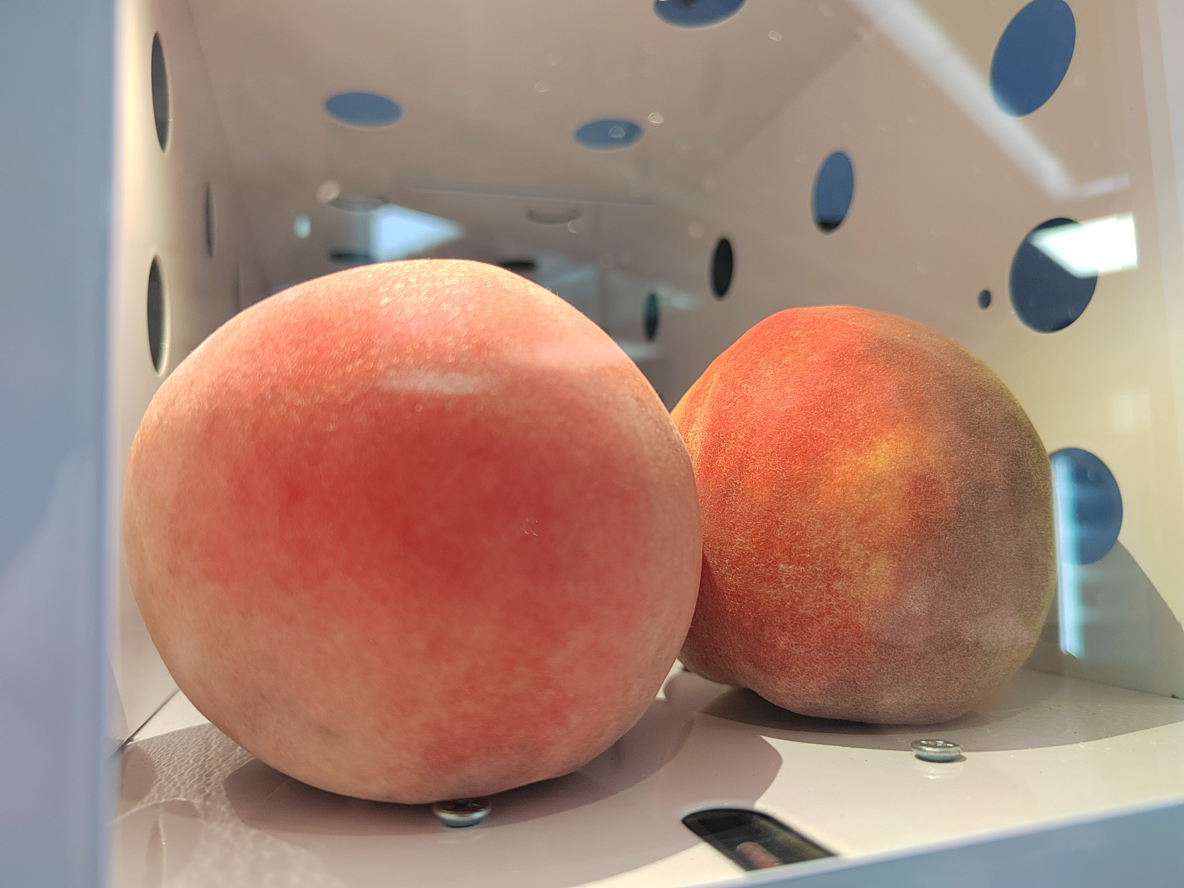 fruit vending machine