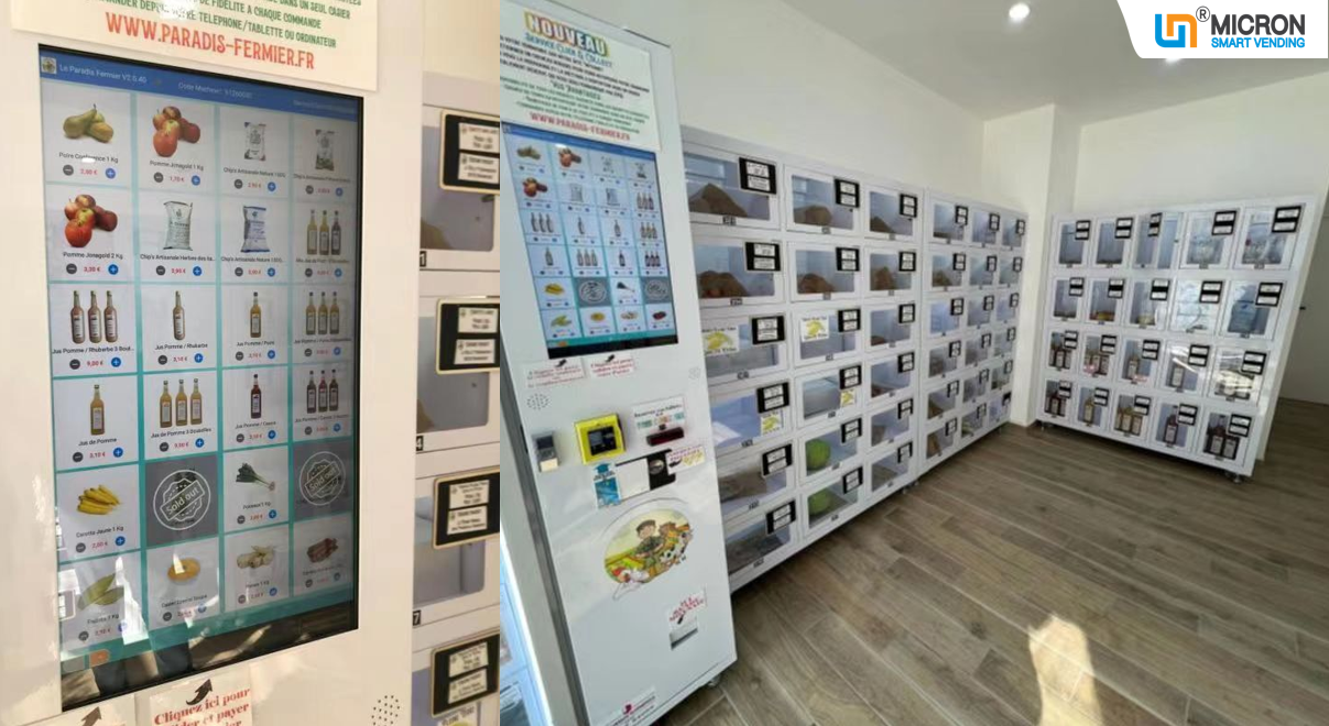 Vegetable vending machine in France cooling locker vending machine for selling farm products