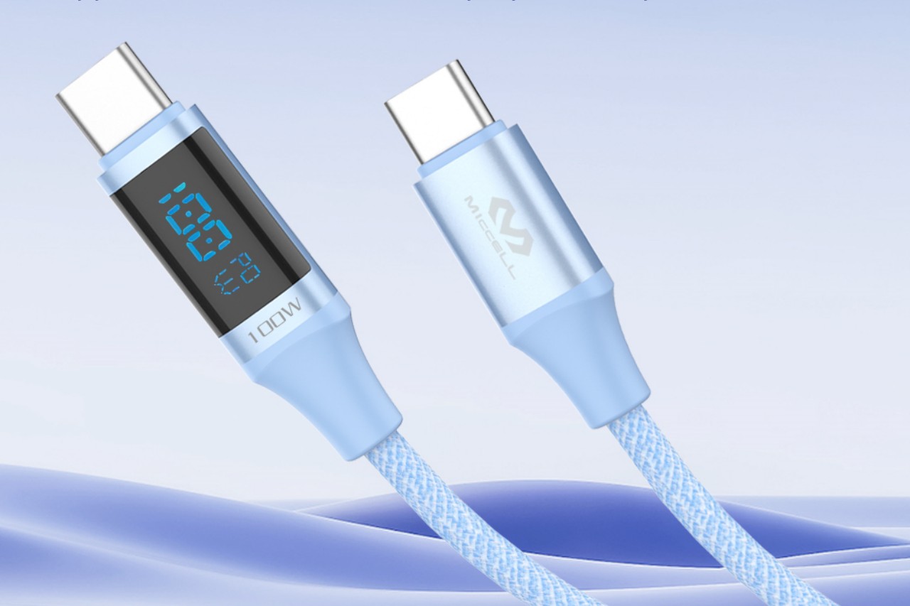 Hot PD100W Fast Charging Cable