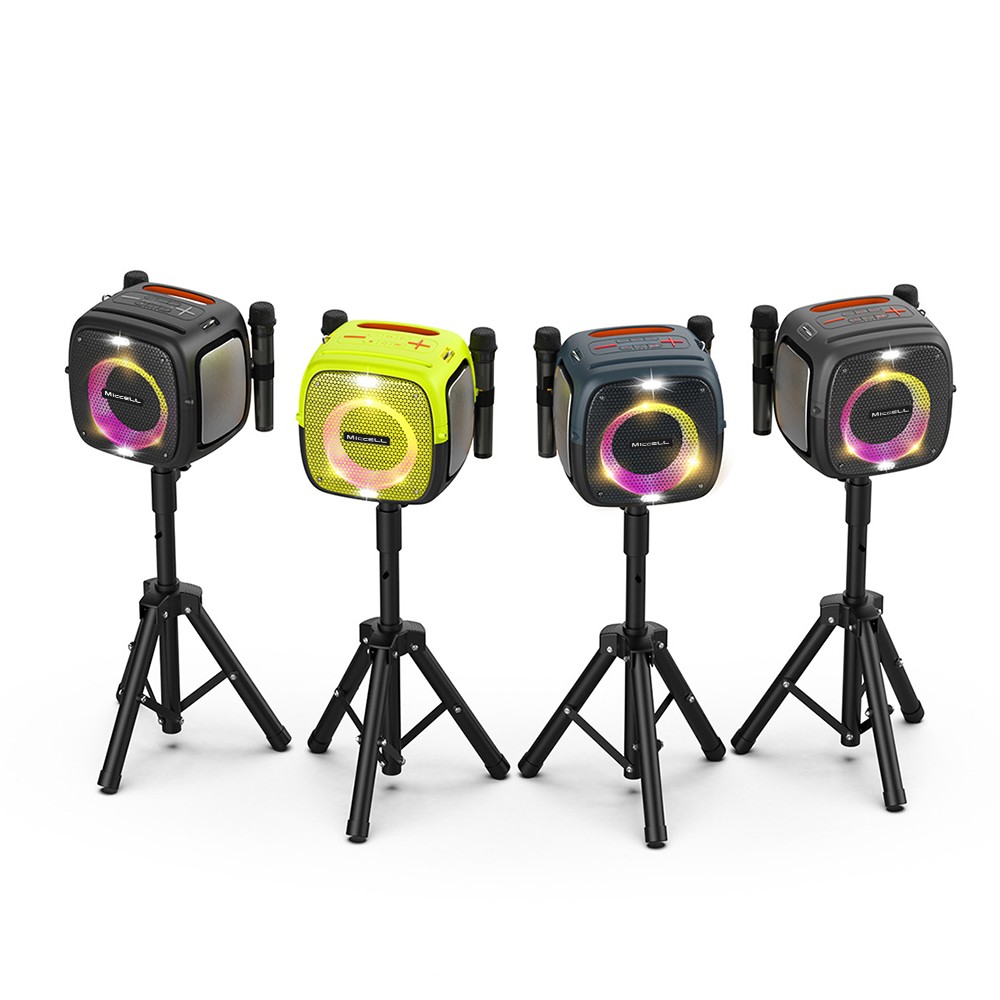 12500mAh Outdoor Speaker with Microphone