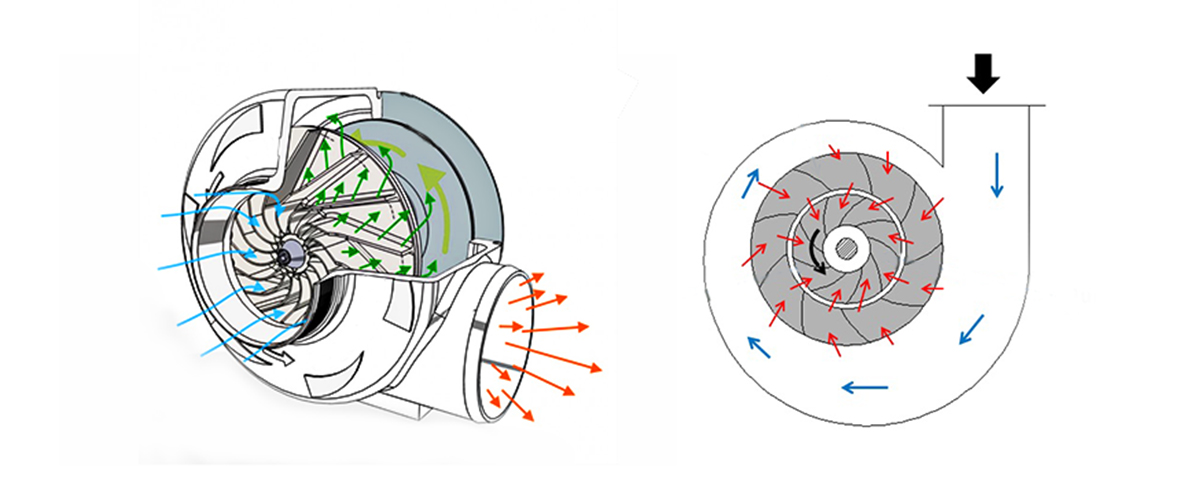 Understand the little knowledge of blower