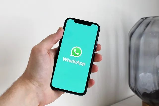 WhatsApp总被封号?这份解封、养号攻略请收好