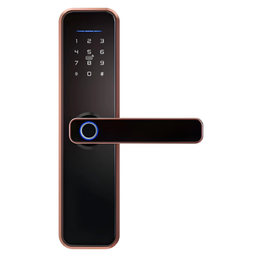 smart keyless entry door lock