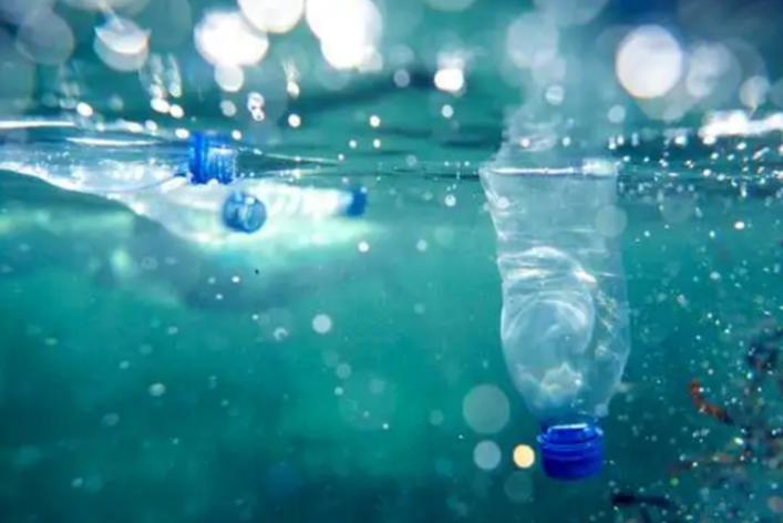 transforming PET bottle into recycled polyester