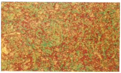 YUHONG Troostite