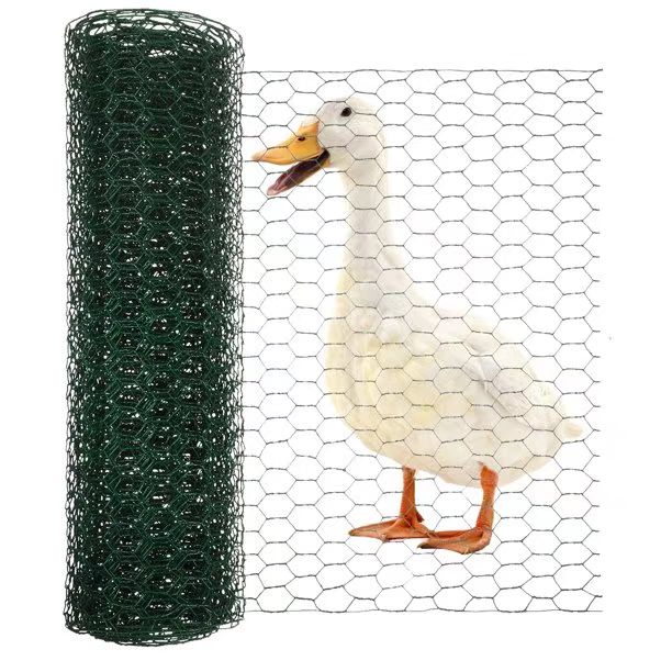 chicken wire for sale