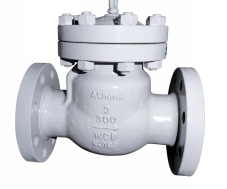 Swing Check Valve