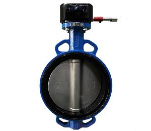 concentric butterfly valves