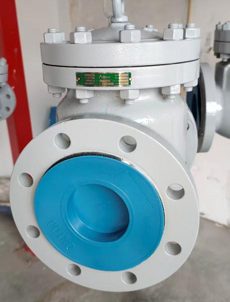 Valve Transportation Packaging