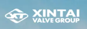 xintaivalves logo