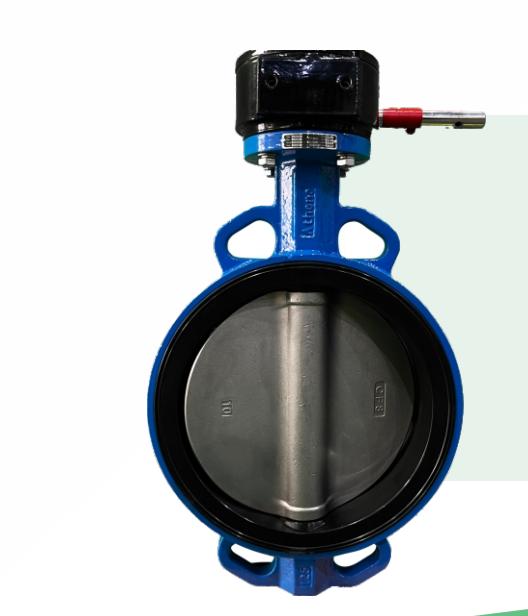 Butterfly Valves