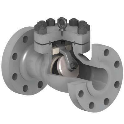 Swing Check Valve