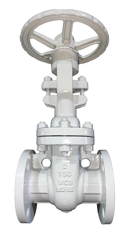 Flanged Rising Stem Gate Valve