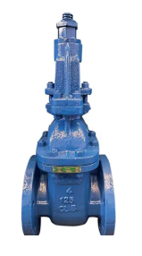 Gate Valve