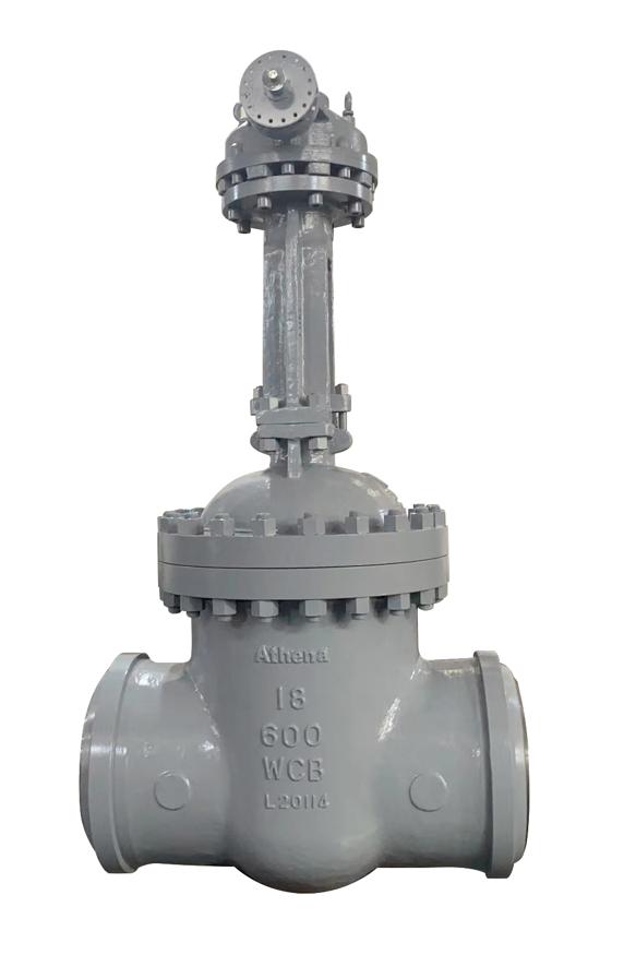 WCB Gate Valve
