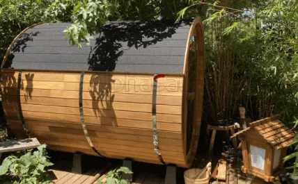 Is sauna healthy?
