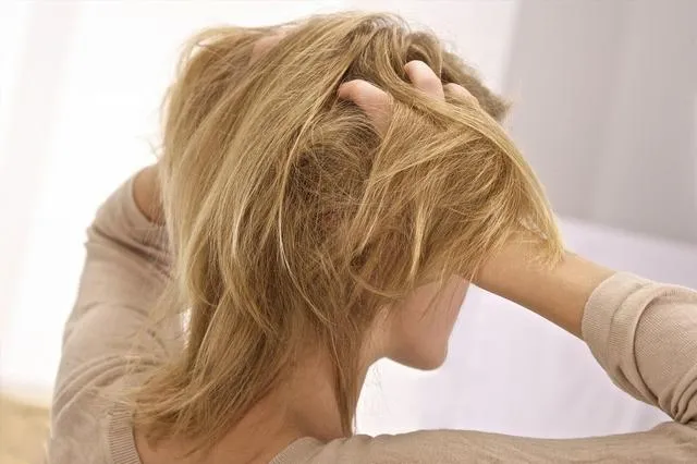 alphasauna_proect_hair