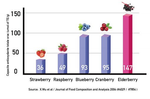 Elderberry