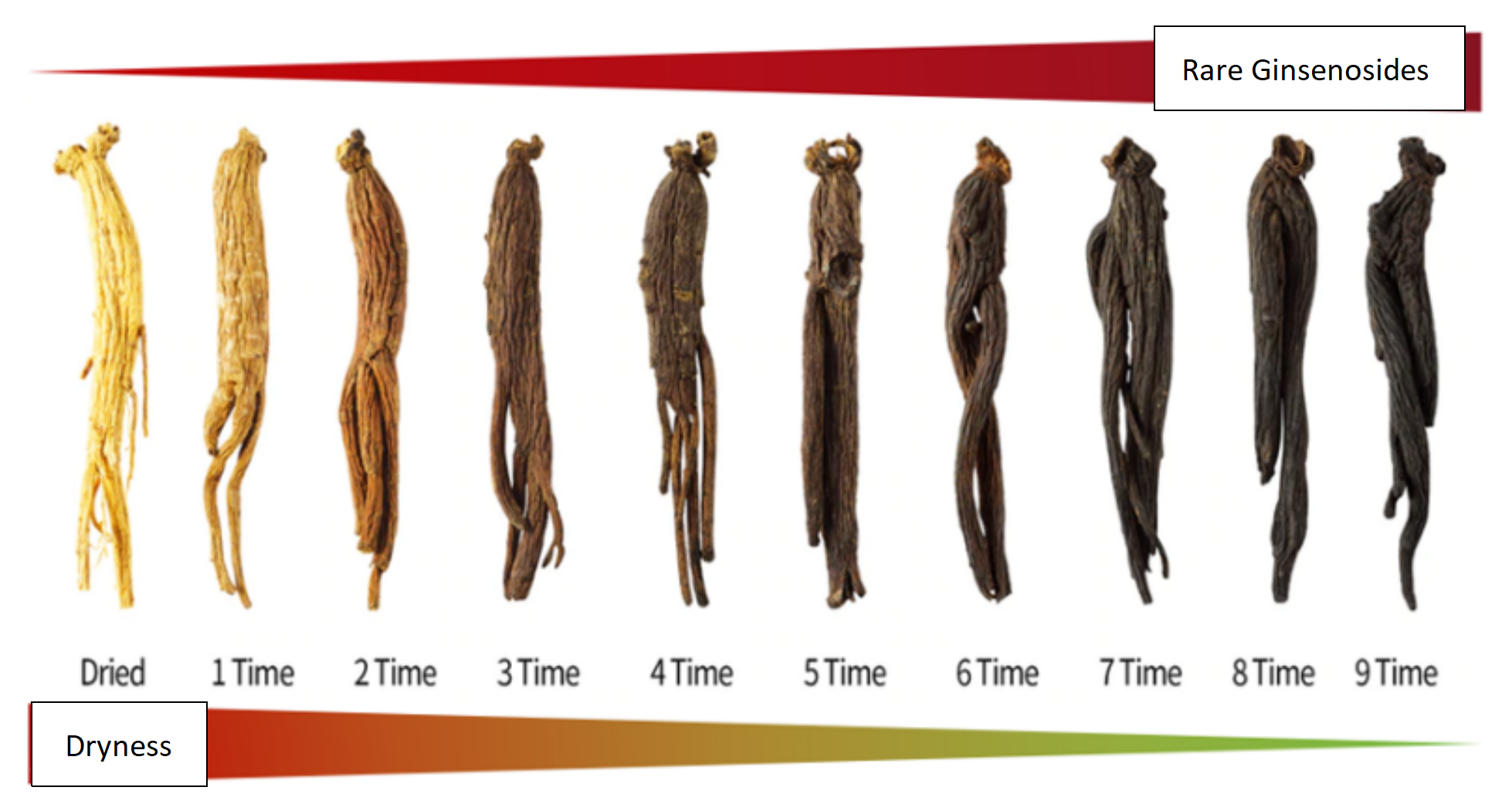 Gold Medal Black Ginseng