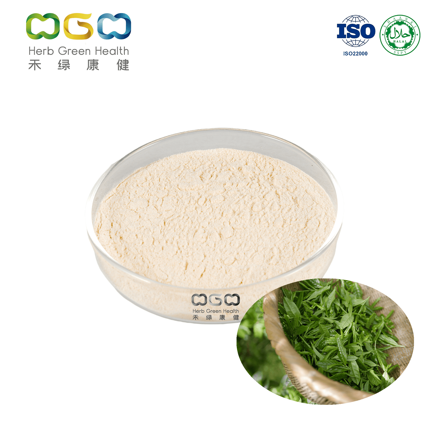 EGCG