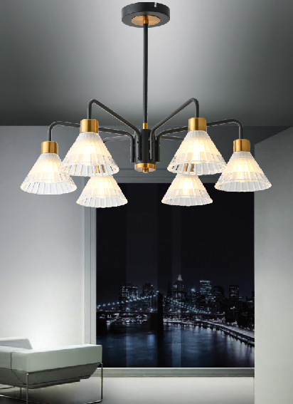 beautiful ceiling chandelier lamp