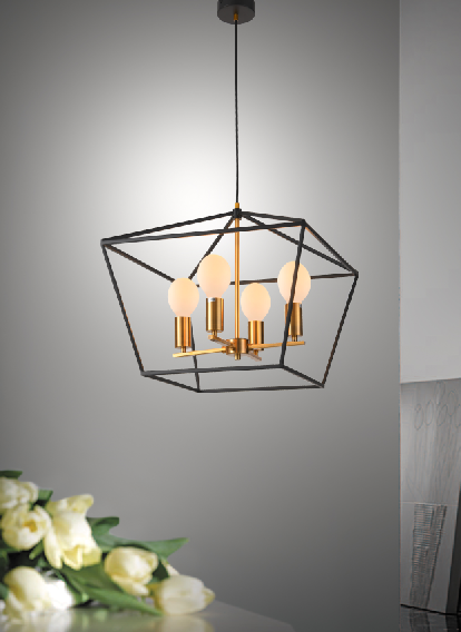 French modern pendant light