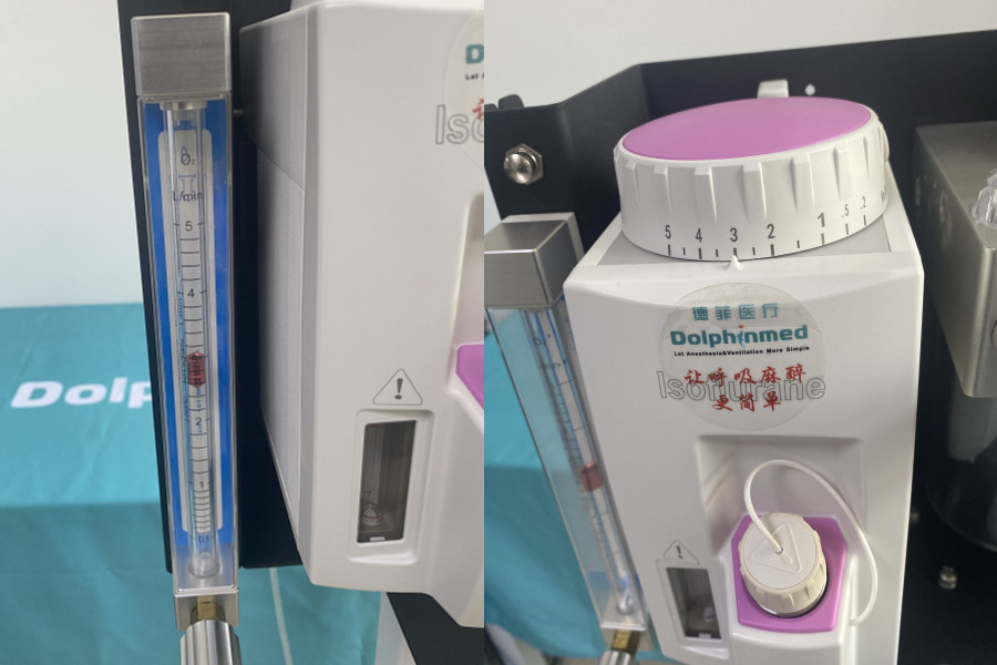 How to set up the veterinary anesthesia machine