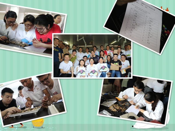 job Skills competition