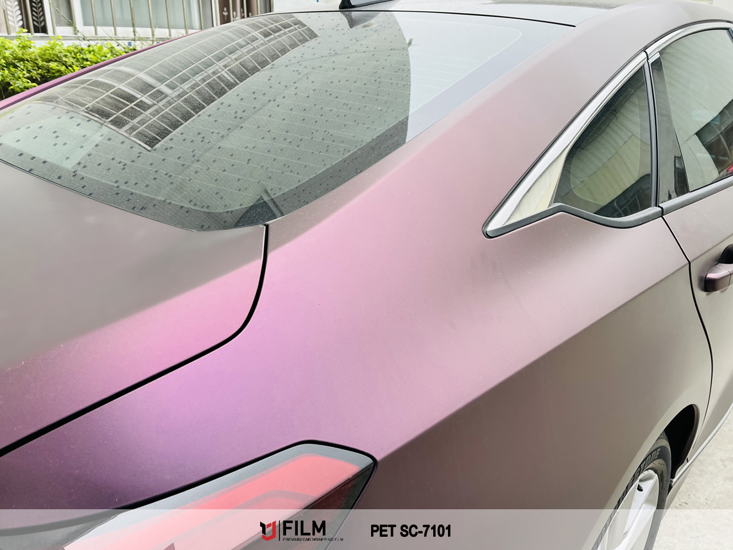 car wrap purple