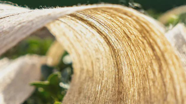 New natural fibers,Natural Color Cotton Fiber,Ropeweed Fiber,Bamboo Raw Fiber,Mulberry Fiber,